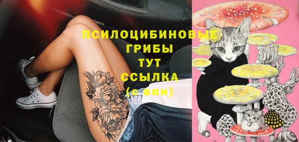 крисы Переславль-Залесский